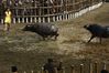 IMG_6287.JPG