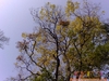 06122008377.jpg