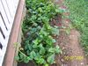 21-7-08_146-1.jpg