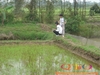 DSC00029.JPG
