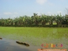 DSC00072.JPG