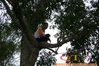 DSC00132.JPG