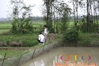 DSC00133.JPG