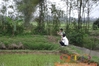DSC00135.JPG