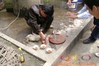 DSC00159.JPG