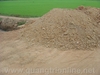 DSC00575.JPG