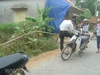 DSC00584.JPG