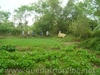 DSC00603.JPG