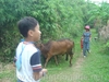 DSC00610.JPG