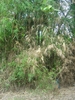 DSC00630.JPG