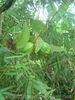 DSC00631.JPG