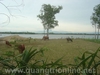 DSC00639.JPG