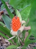 DSC00642.JPG