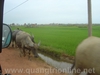 DSC00655.JPG