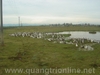 DSC00656.JPG