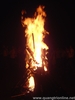 DSC00149.JPG