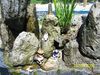 6-30-08nha_anh_nam_027.jpg