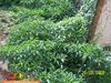 8-28-08_725.jpg