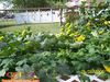 8-28-08_729.jpg