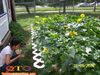 8-28-08_730.jpg