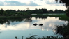 DSC00094.JPG