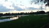 DSC00100.JPG