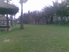 02012010(017).jpg