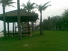 02012010(018).jpg
