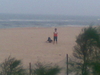 02012010(020).jpg