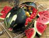 040408_gio_hoa_qua_xinh_xinh_sp2.jpg