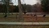 1-5-08_010-1.jpg