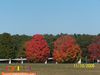 10-10-08_015.jpg