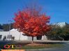 10-14-08_025-2.jpg