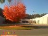 10-14-08_030-2.jpg