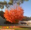 10-14-08_039-2.jpg