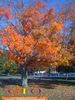 10-14-08_042-2.jpg