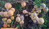 10-14-08_044-2.jpg