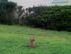 10-23-07_118.jpg