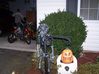 11-1-07_127.jpg
