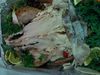 11-17-07_009.jpg
