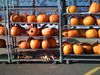 11-5-07_189.jpg