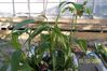 12-17-07_005-1.jpg
