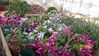 12-17-07_007-1.jpg