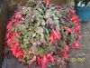 12-17-07_008-1.jpg