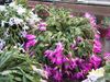 12-17-07_012-1.jpg