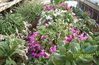 12-17-07_020-1.jpg