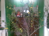 13022010.jpg