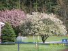 5-6-08_017-1.jpg
