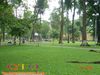 DSC00278~0.JPG