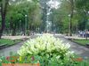 DSC00286.JPG